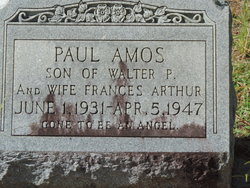Paul Amos Arthur 
