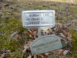 Albert Lee Adkins 