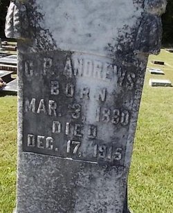 C. P. Andrews 