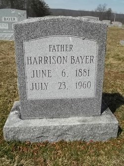 Harrison Bayer 