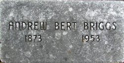 Andrew Bert Briggs 