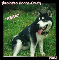 Mt Alaska Dance-On-By “Keita” <I>Boulton</I> Ray 
