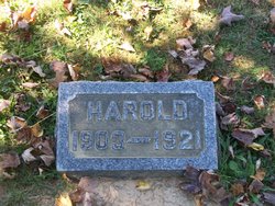 Harold Stegner 