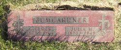 Charles Elmer Bumgardner 