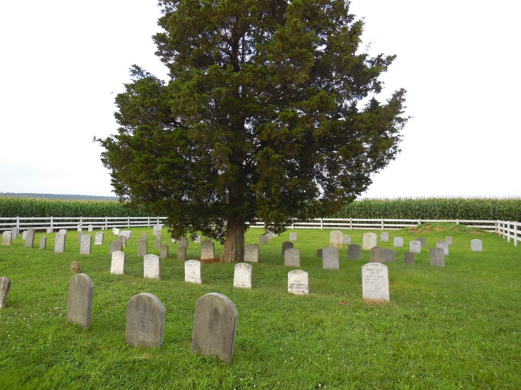 Blank Cemetery