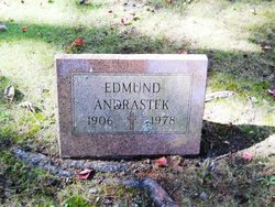 Edmund Andrastek 