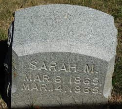 Sarah M. Lamb 