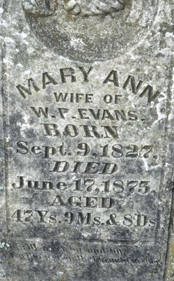 Mary Ann “Molly” <I>Brashears</I> Evans 
