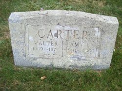 Amy Elizabeth <I>Crocker</I> Carter 