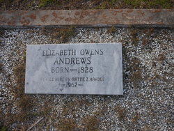 Elizabeth Anne <I>Owens</I> Andrews 
