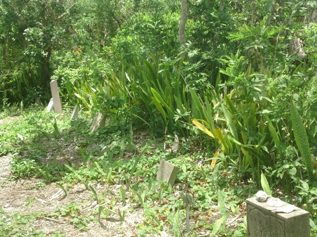 Fakahatchee Cemetery