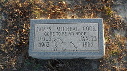 James Michael Cook 