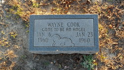 Wayne Cook 