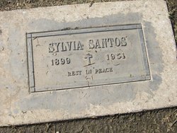 Sylvia <I>Valdez</I> Santos 