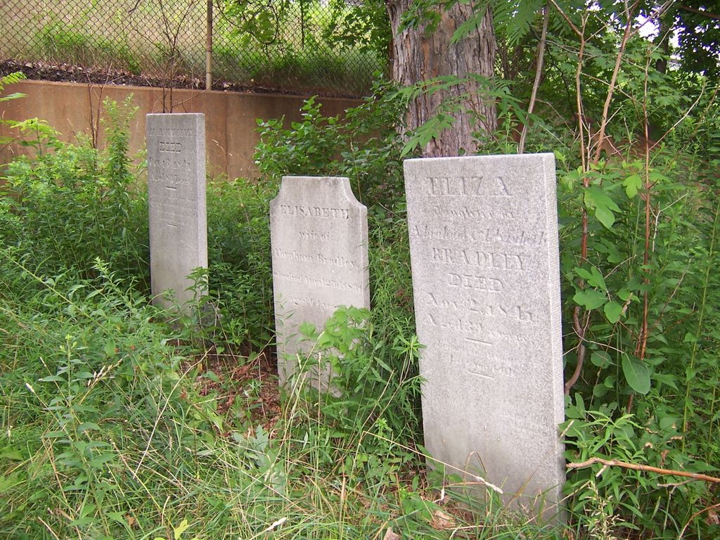 Bradley Family Cemetery
