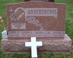 Joseph J Andershonis 