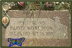 Harvey Wayne Bolin 