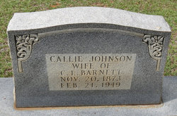 Mary Callie <I>Johnson</I> Barnett 