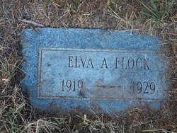 Elva A Flock 