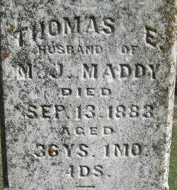Thomas Edmund Maddy 
