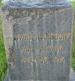 Laura N Gibbons 