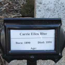 Carrie Ellen Blue 