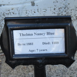 Thelma Nancy Blue 