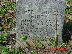 Bernard Edison Bibey 