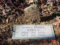 James Henry Bibey 