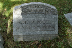 Abbie M Pocock 