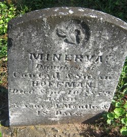 Minerva Hoffman 