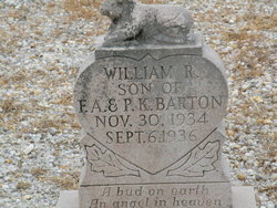 William Robert Barton 
