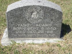 William Yancy Adams 