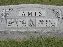 James Alexander Amis Jr.