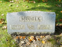 Ambrose J. Mrotek 