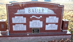 Robert S Bauer Jr.