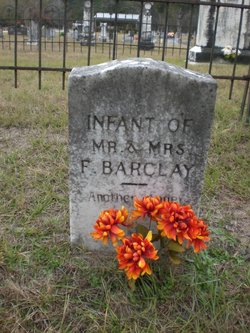 Infant Barclay 