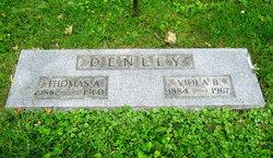 Viola <I>Beedy</I> Kingsbury Denley 