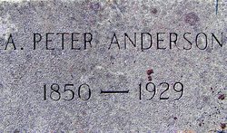 A Peter Anderson 