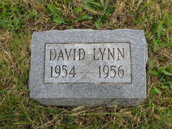 David Lynn 