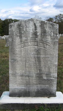 Charles A Beaver 