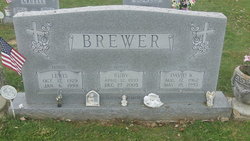 Lewis Brewer 