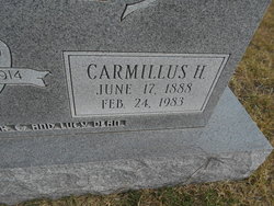 Carmillus Hayes Rose 