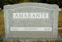 Antonio Amarante 