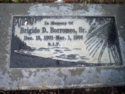 Brigido D. Borromeo Sr.