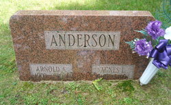 Agnes <I>Larson</I> Anderson 