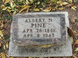 Albert Newton Pine 