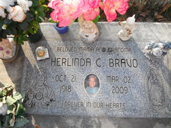 Herlinda <I>Carrillo</I> Bravo 
