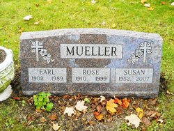 Rose <I>Kolerus</I> Mueller 