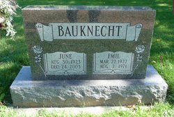 June C <I>Skidmore</I> Bauknecht Schoenfeldt 
